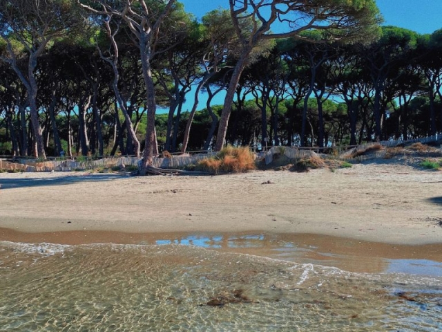 Follonica